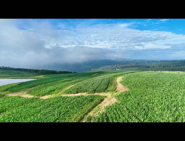 LAND FOR SALE IN MOUNT VERDE